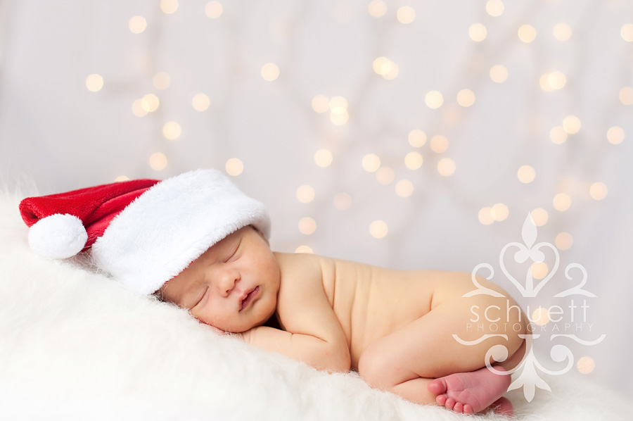 newborn photography christmas