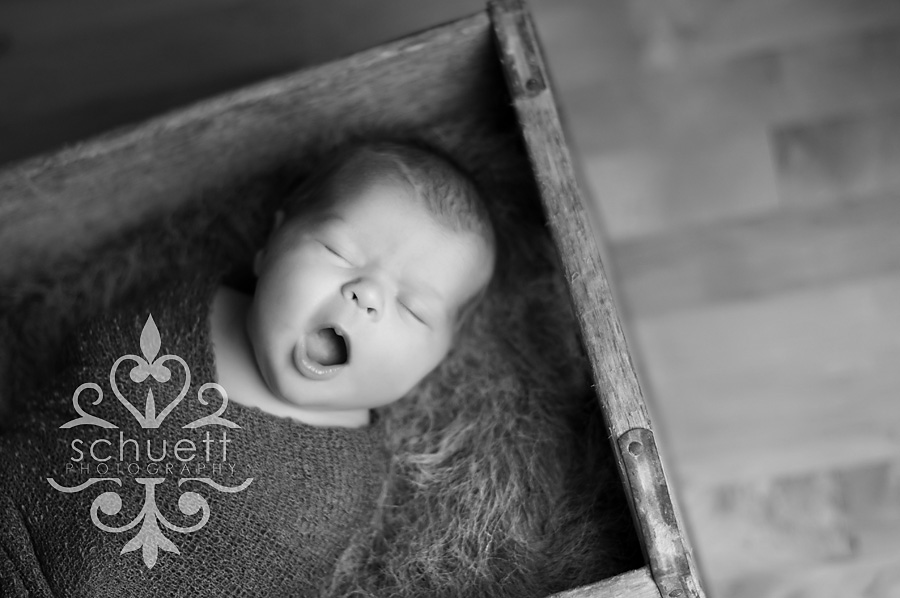 Wisconsin Newborn Photography 3 Big yawn Milwaukee newborn photography