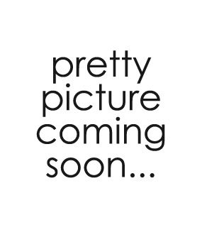 Schuett Photography bio picture